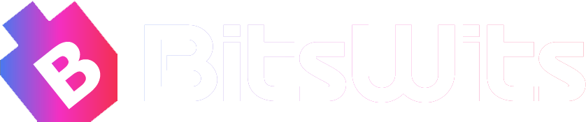 bitswits